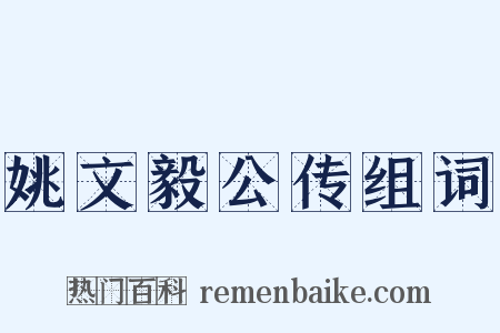 姚文毅公传组词是什么意思的图片